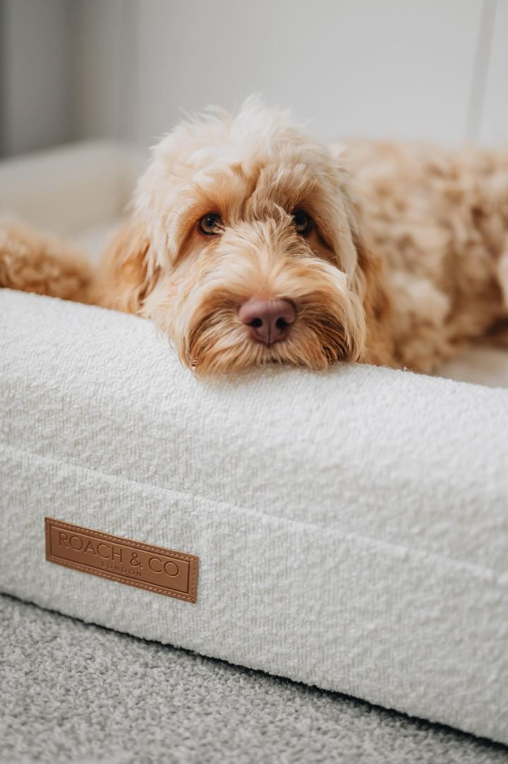 CertiPUR-US® Orthopaedic Memory Foam