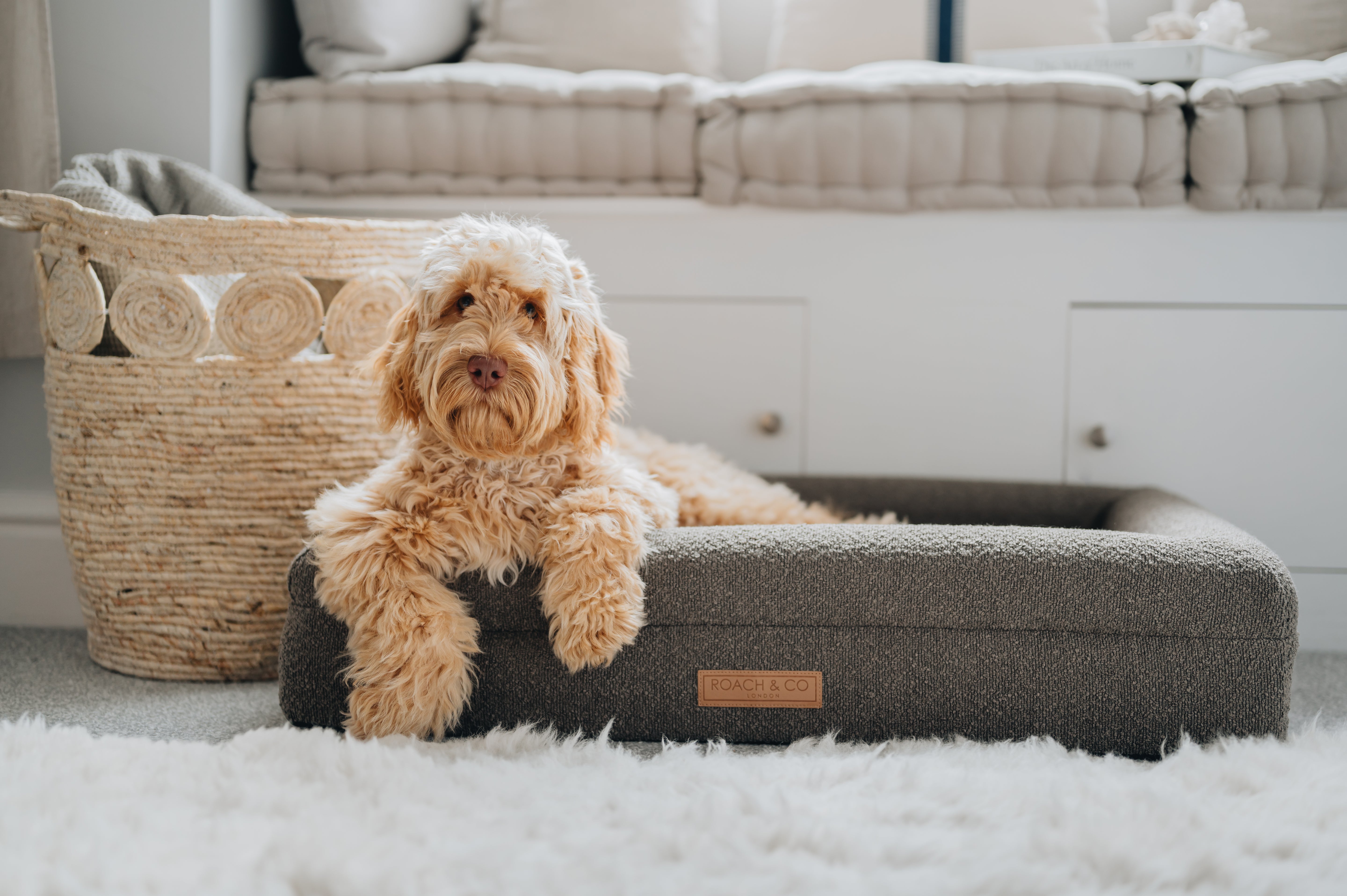 Luxury Orthopaedic Taupe Brown Bouclé Dog Bed